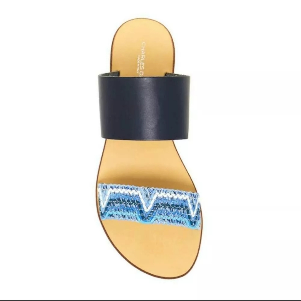 Charles David Gia Slide Italy